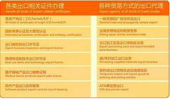 聚焦外貿(mào)服務(wù)一體化 專(zhuān)業(yè)代理報(bào)關(guān)與商貿(mào)對(duì)接新路徑